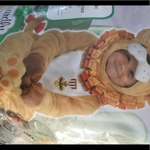 Wizard of Oz “cowardly lion” costume